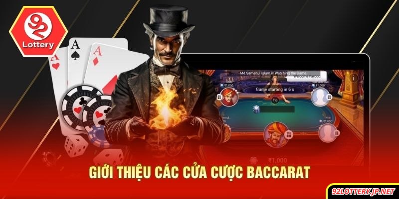 Giới thiệu các cửa cược baccarat